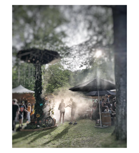Festival med liveframträdande, dimma och träd runt om. Människor samlas i bakgrunden.